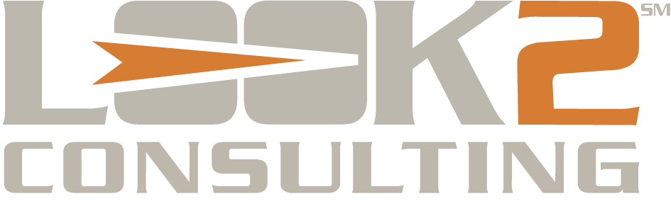 Look 2 Consulting
