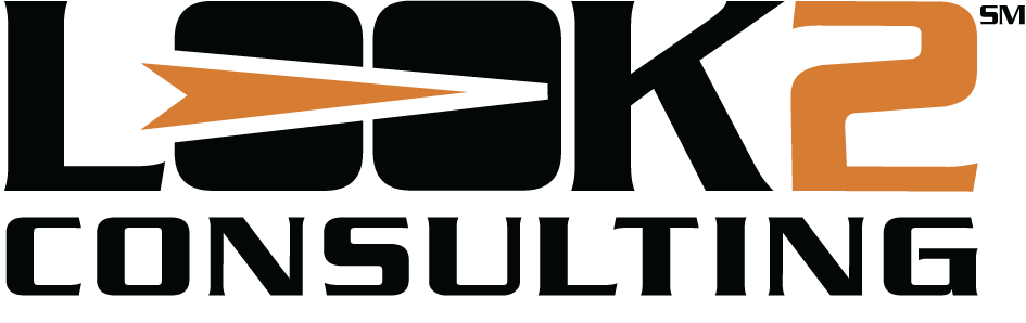 Look 2 Consulting